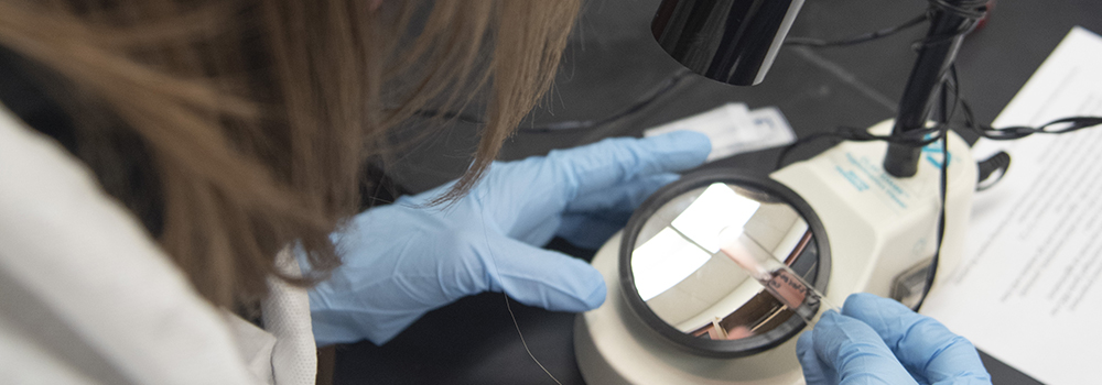 A Girl Examining a vial of blood