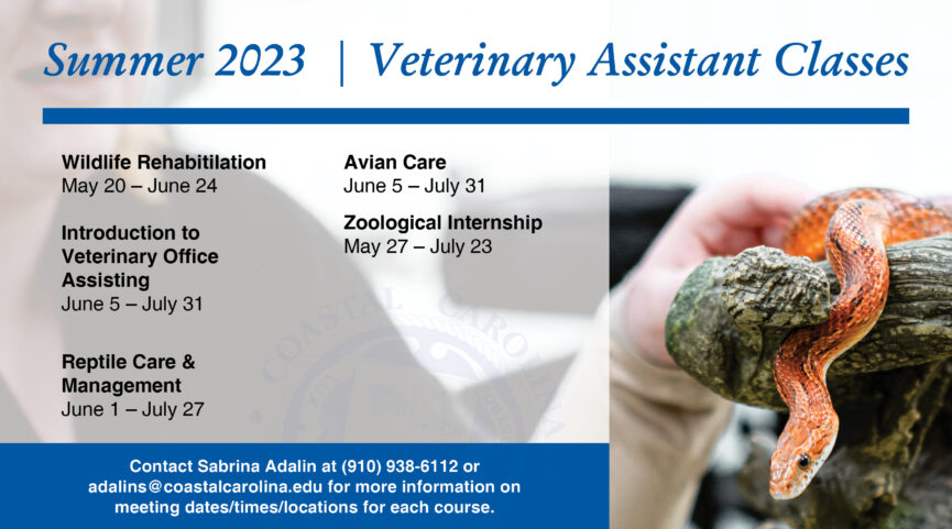 Summer 2023 Veterinary Assistant Classes